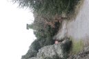 Du Malpey au Mont Vinaigre